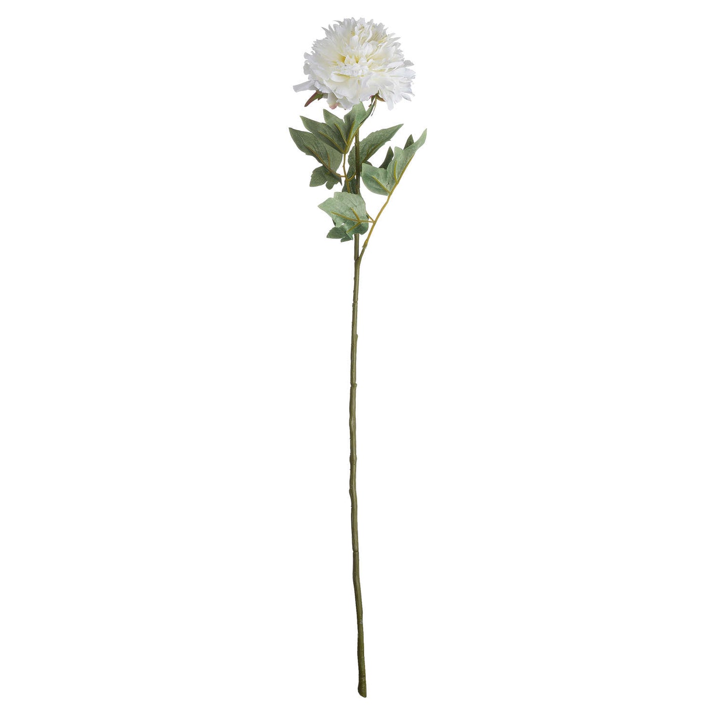 Classic White Peony Single Stem