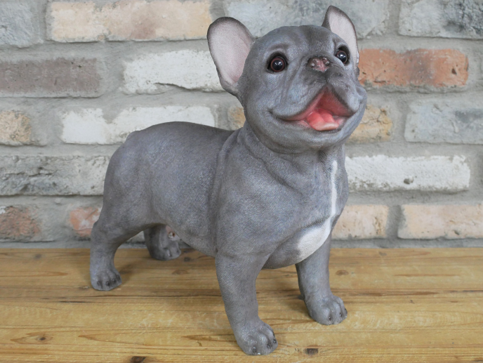 Standing Dog (Frenchie)