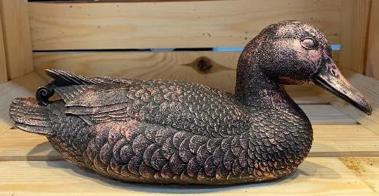 Bronze Duck Ruffled Feathers