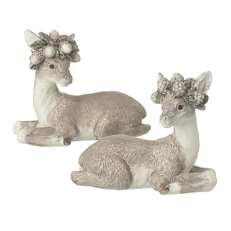 Sitting Baby Deer