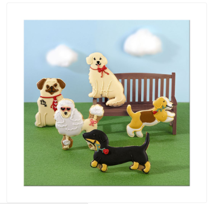 Dogs at the park plain card