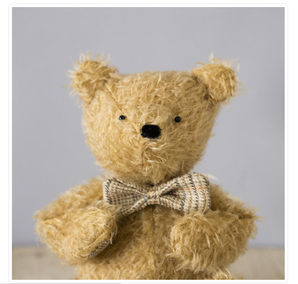 Teddybear Blank Card