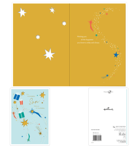 For a Wonderful Son Birthday Card