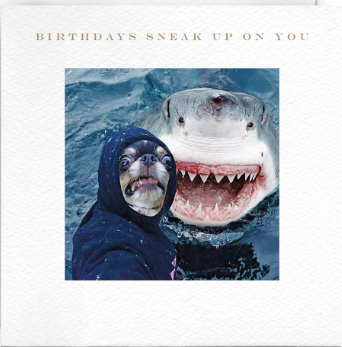 Birthdays Sneak Up On You Comical Card