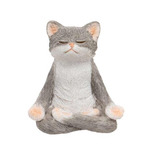 Meditating Cat