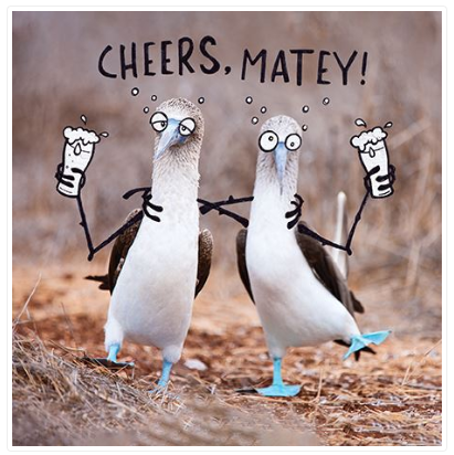 Cheers Matey! Birthday Card