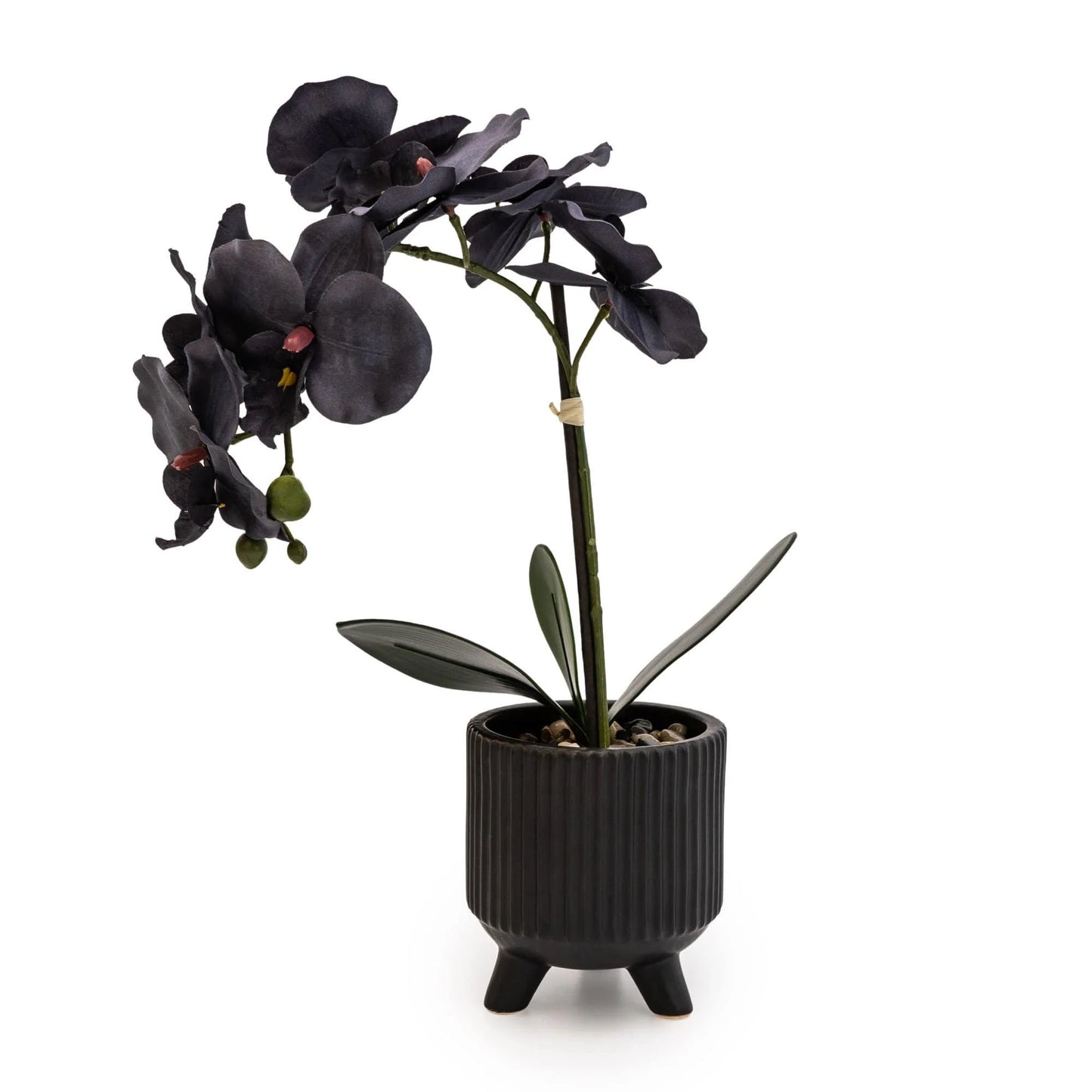 Artificial Orchid – Matte Black 42cm