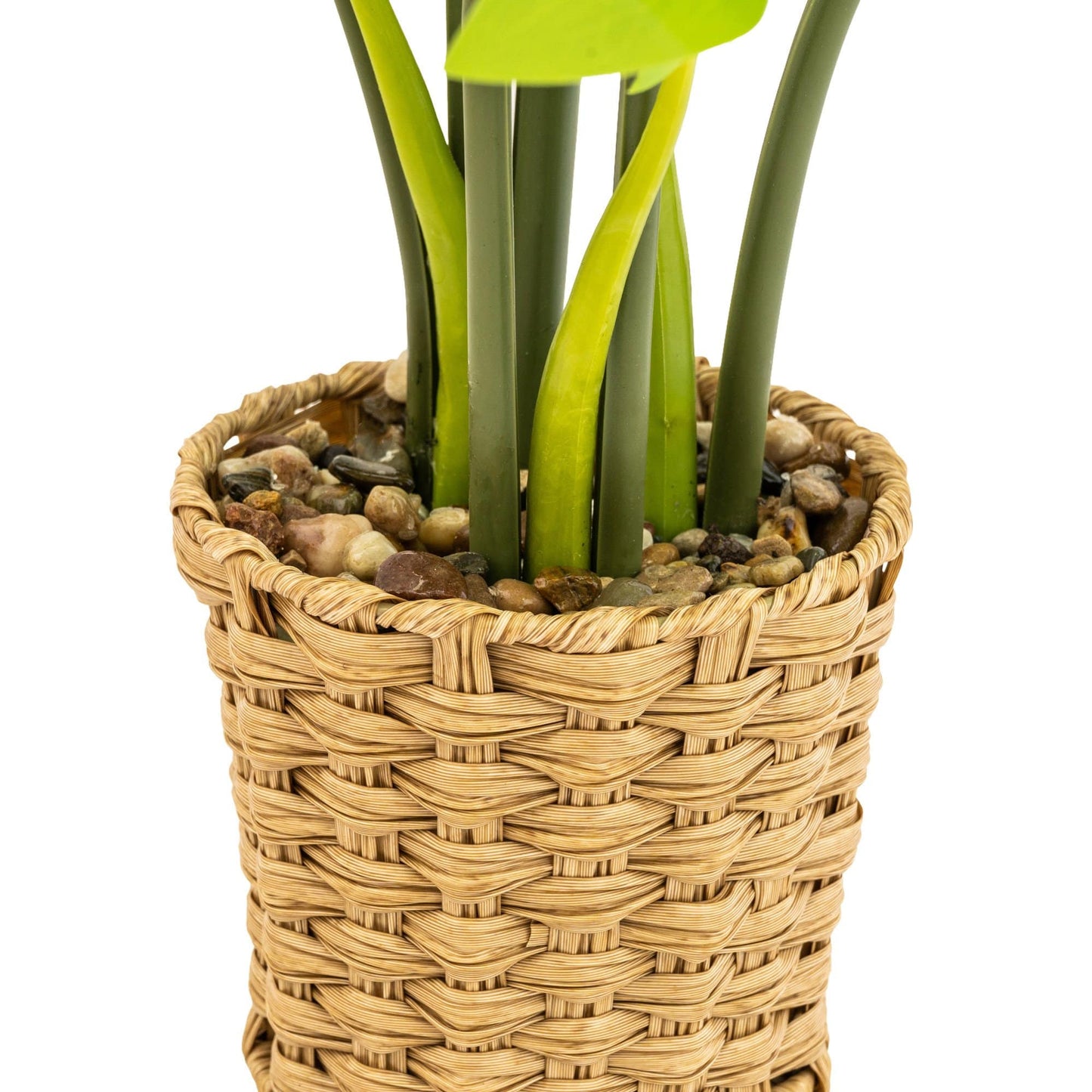 Artificial Cheese Plant in Wicker Pot 74cm