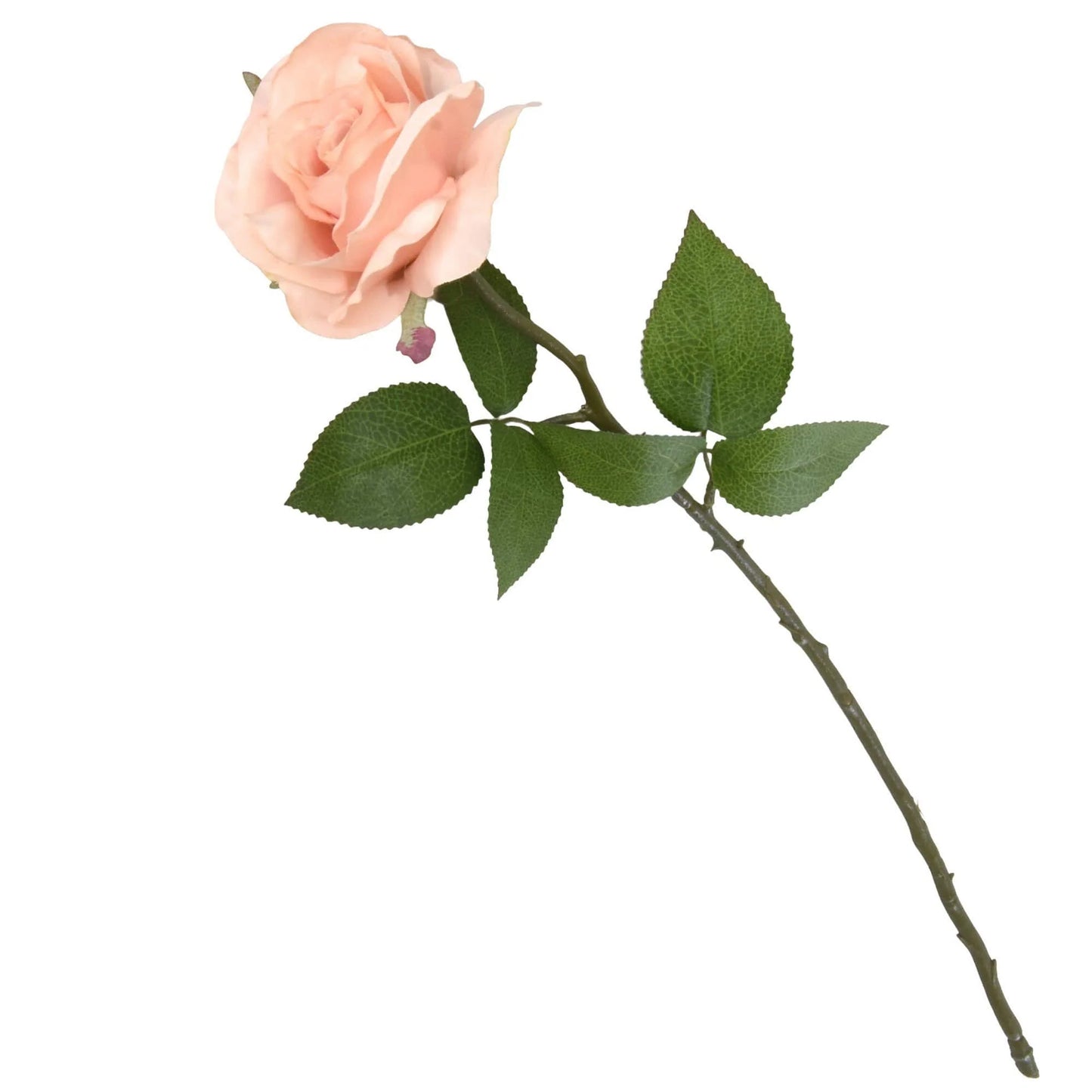 Single Stem Faux Open Rose Light Peach 54 cm