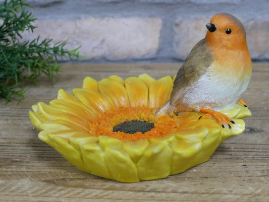 Robin On Sunflower Feeder