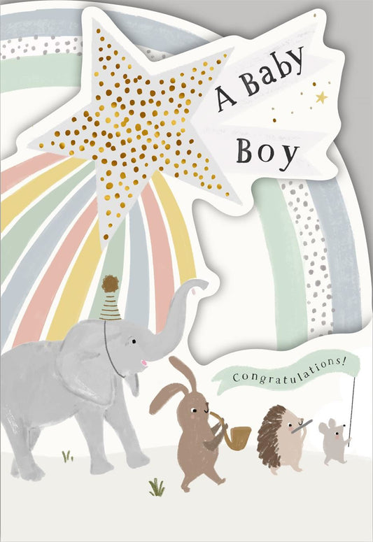 Birth of Baby Boy Card - Animal Congratulations