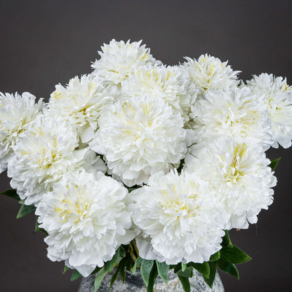 Classic White Peony Single Stem