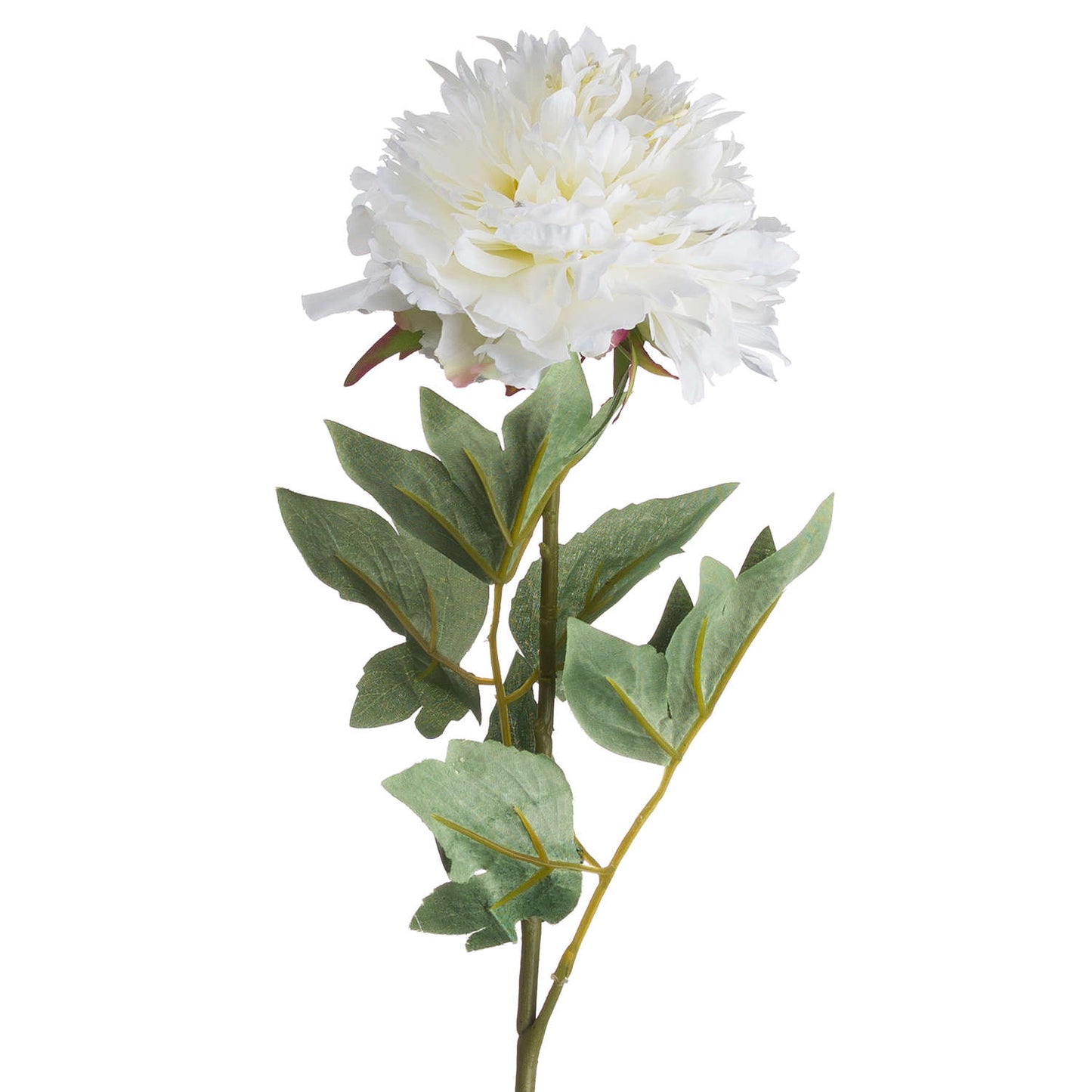 Classic White Peony Single Stem