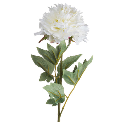 Classic White Peony Single Stem