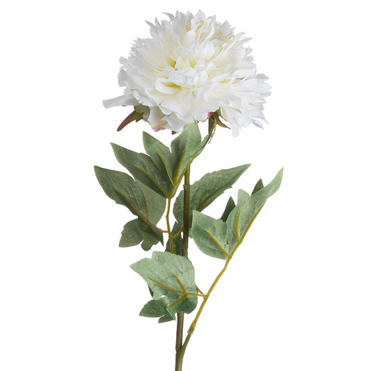 Classic White Peony Single Stem