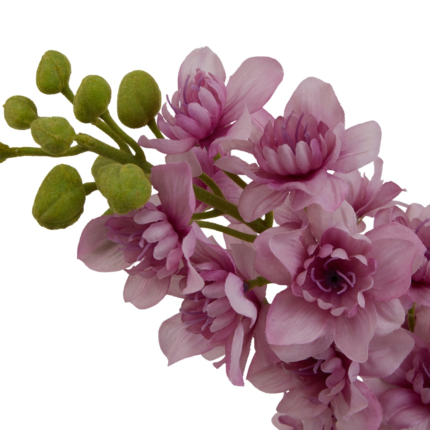 Purple Elatum Delphinium Single Stem