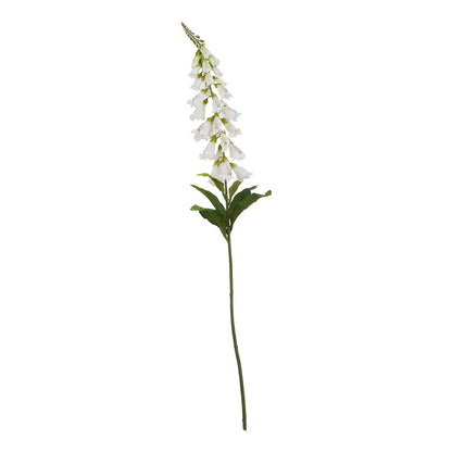 White Foxglove Single Stem