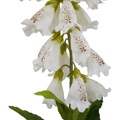 White Foxglove Single Stem