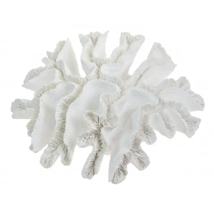 Resin Cat's Paw Coral 28cm