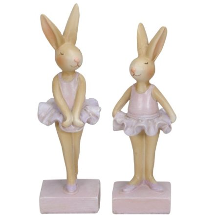 Ballerina Bunny