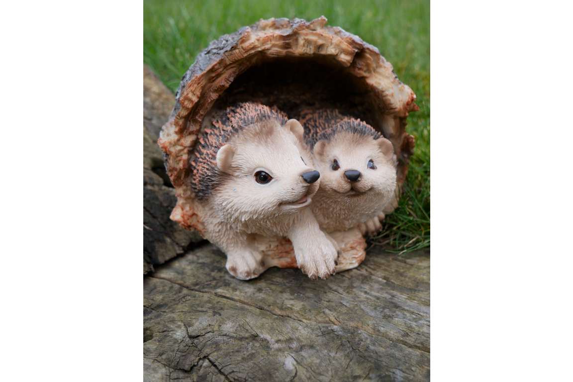 Hedgehogs In Log