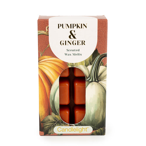 Pack of 8 Pumpkin & Ginger Wax Melts