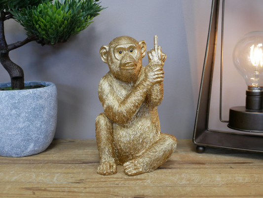 Up Yours Cheeky Monkey