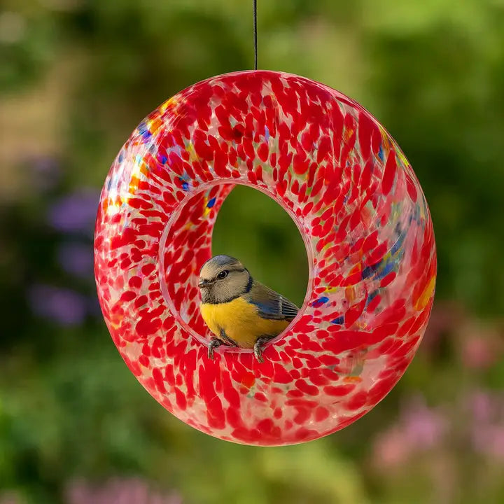 Hanging Glass Garden Bird Feeder - Red