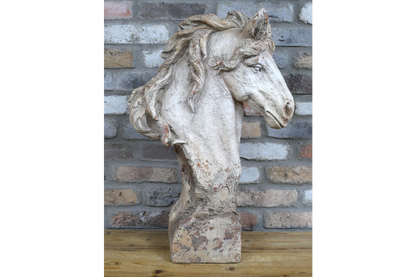 Large Horse Head