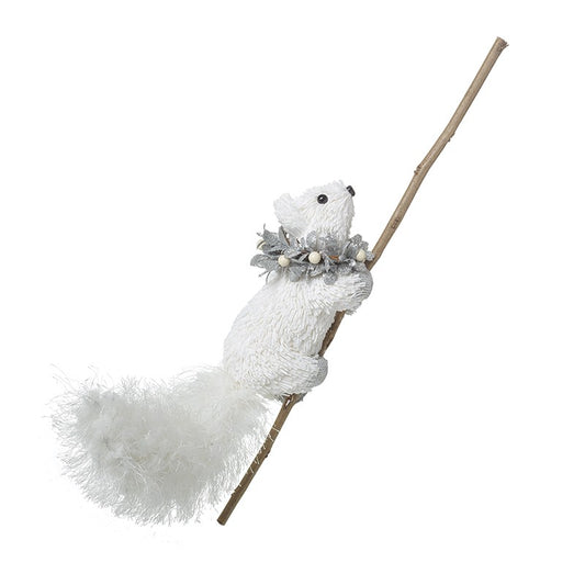 White Squirrel On Branch