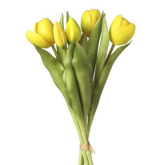 Yellow Tulips Bunch