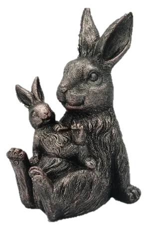 Adorable Rabbit Pair