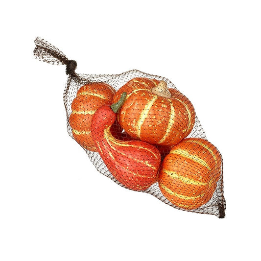 Autumnal Pumpkin & Squash Decor Net - 5 Pieces
