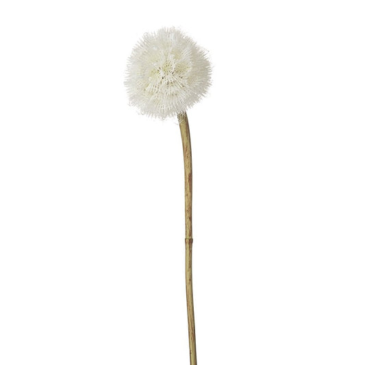 White Flower Stem
