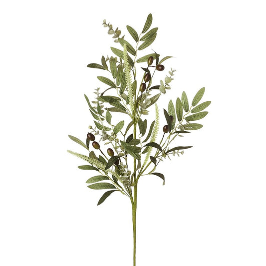 Tall Olive Leaves Branch