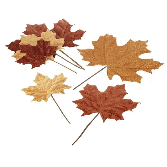 Set Of 6 Autumnal Leaves