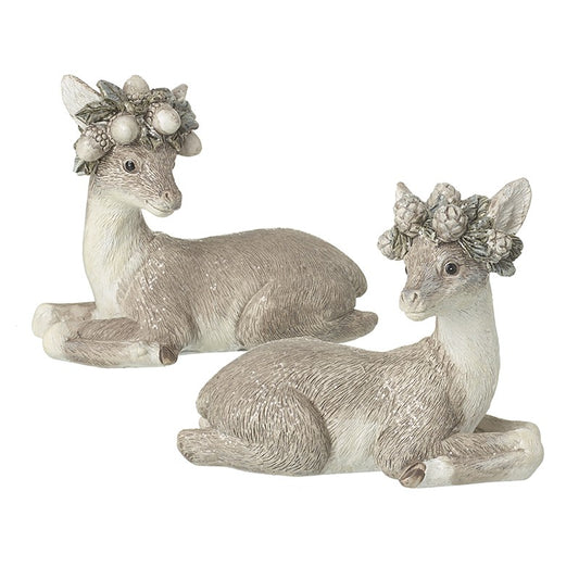 Sitting Baby Deer