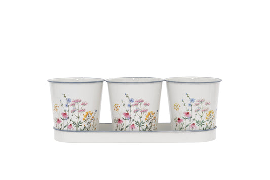 Springtime Set of 3 Metal Pots with Tray