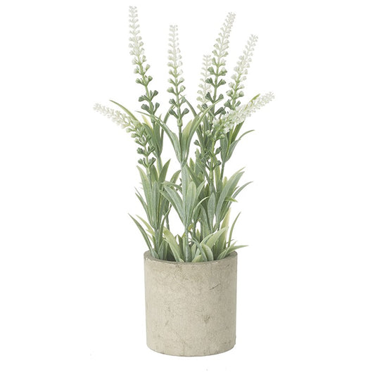Tall White Flower Plant In Stone Effect Pot