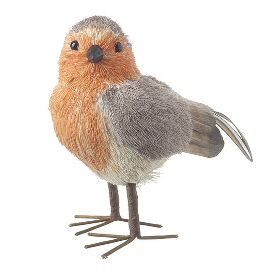 Standing Robin
