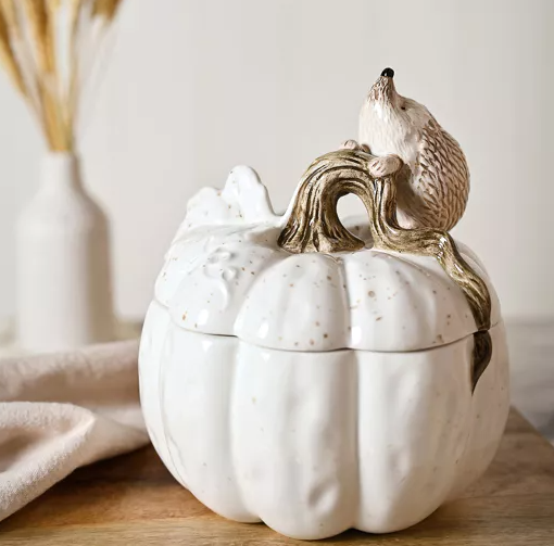 Country Living Hedgehog Storage Pot