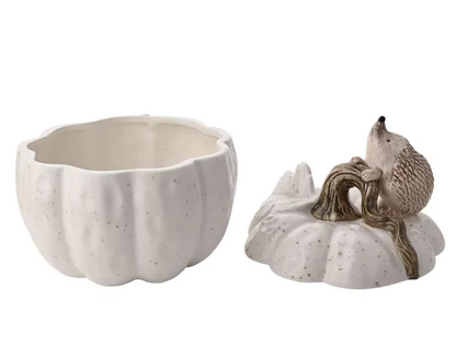 Country Living Hedgehog Storage Pot