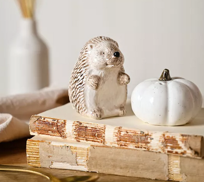 Country Living Hedgehog Salt & Pepper Set