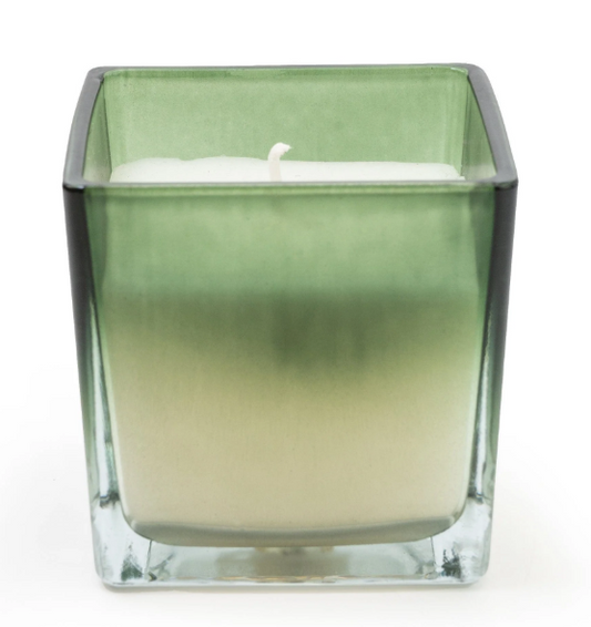 Green Ombre Small Glass Candle - Fig & Apple Scent