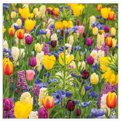 Spring Floral Open Card