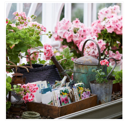 The Potting Shed Open Card