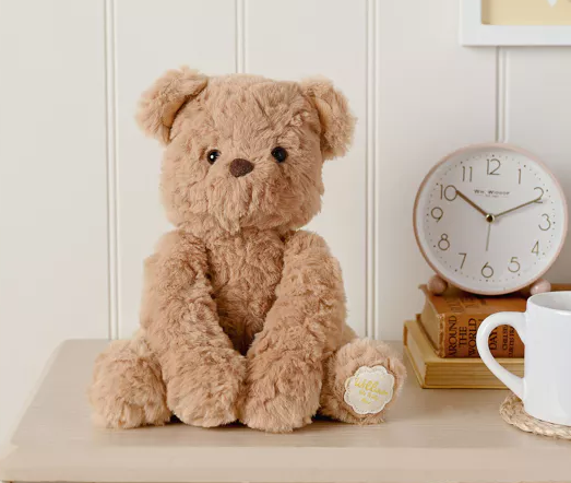 William The Plush Sitting Brown Teddy Bear 22 cm