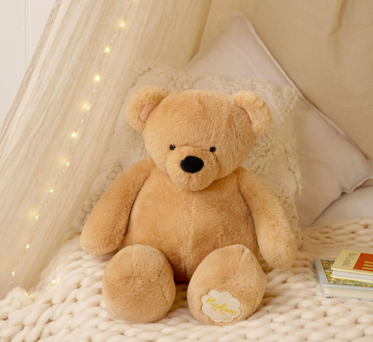 Hudson The Plush Big Teddy Bear 50cm