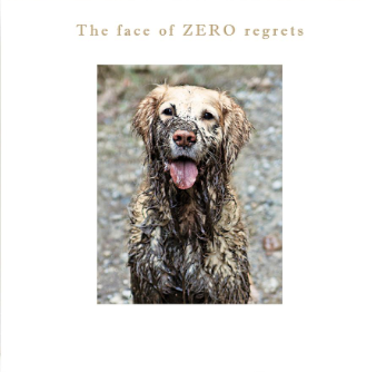 The face of ZERO Regrets Greeting Card