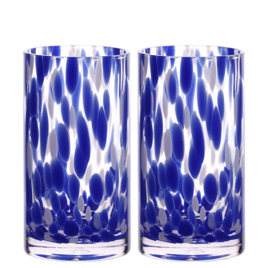Hestia Blue Tortoise Shell Hi Ball Glass Set of 2